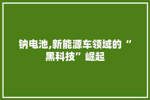 钠电池,新能源车领域的“黑科技”崛起  第1张