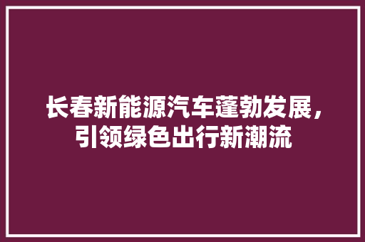 长春新能源汽车蓬勃发展，引领绿色出行新潮流