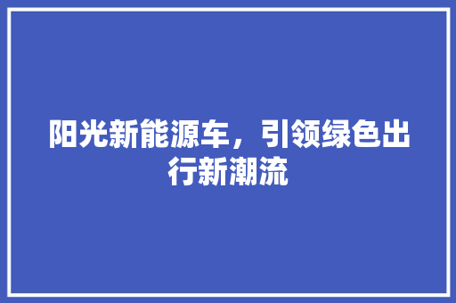 阳光新能源车，引领绿色出行新潮流