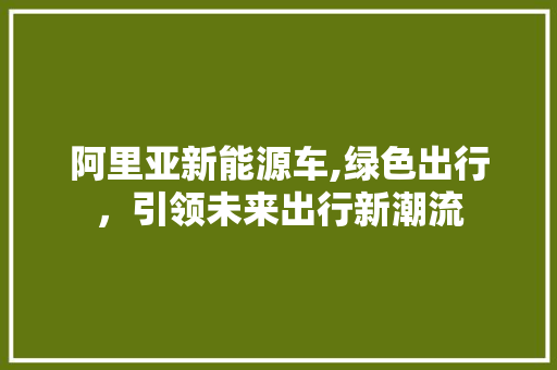 阿里亚新能源车,绿色出行，引领未来出行新潮流  第1张