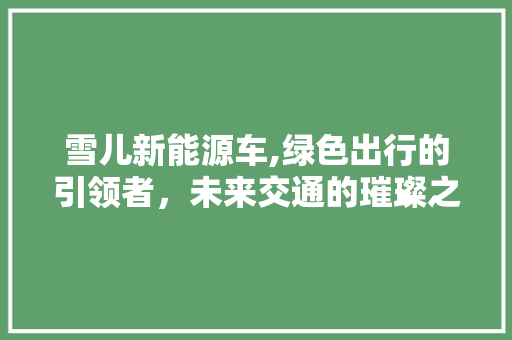雪儿新能源车,绿色出行的引领者，未来交通的璀璨之星  第1张