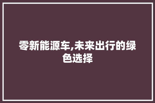 零新能源车,未来出行的绿色选择