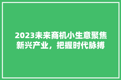 2023未来商机小生意聚焦新兴产业，把握时代脉搏  第1张