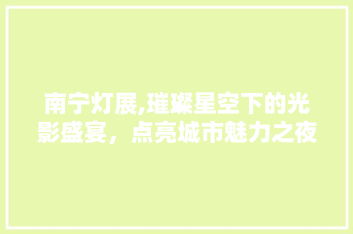 南宁灯展,璀璨星空下的光影盛宴，点亮城市魅力之夜