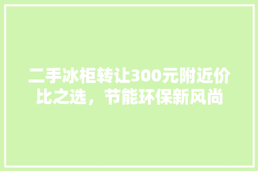 二手冰柜转让300元附近价比之选，节能环保新风尚