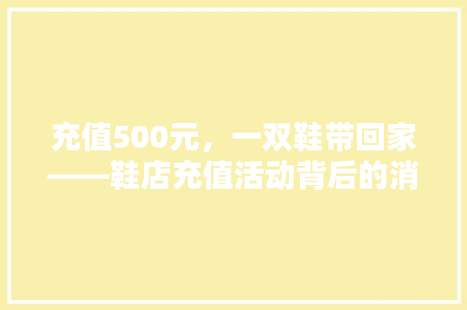 充值500元，一双鞋带回家——鞋店充值活动背后的消费心理学