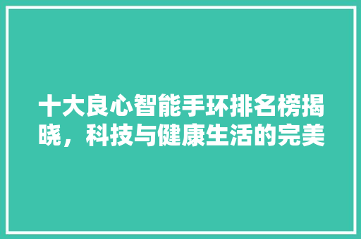 十大良心智能手环排名榜揭晓，科技与健康生活的完美结合