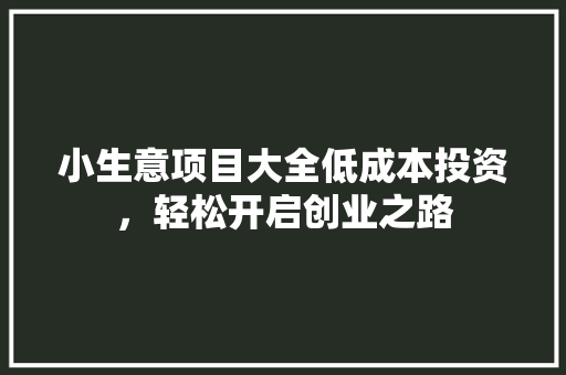 小生意项目大全低成本投资，轻松开启创业之路