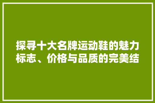 探寻十大名牌运动鞋的魅力标志、价格与品质的完美结合  第1张