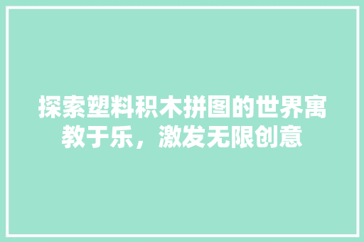探索塑料积木拼图的世界寓教于乐，激发无限创意