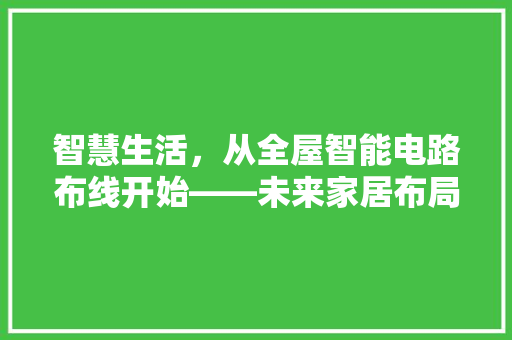 智慧生活，从全屋智能电路布线开始——未来家居布局新趋势