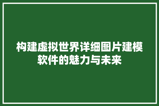 构建虚拟世界详细图片建模软件的魅力与未来