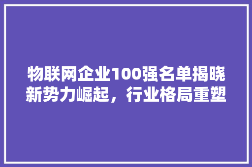 物联网企业100强名单揭晓新势力崛起，行业格局重塑