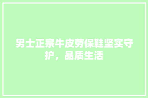 男士正宗牛皮劳保鞋坚实守护，品质生活