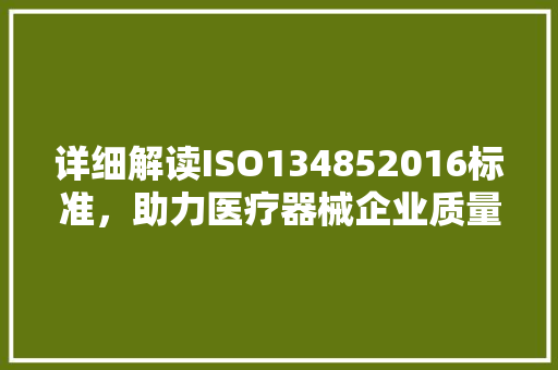 详细解读ISO134852016标准，助力医疗器械企业质量管理升级