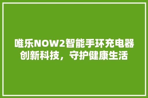 唯乐NOW2智能手环充电器创新科技，守护健康生活