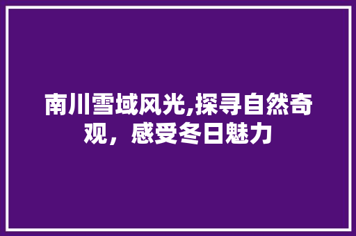 南川雪域风光,探寻自然奇观，感受冬日魅力