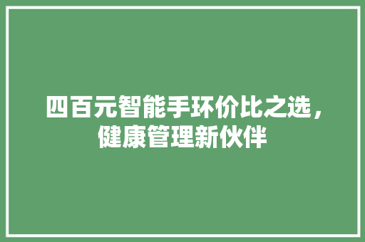 四百元智能手环价比之选，健康管理新伙伴