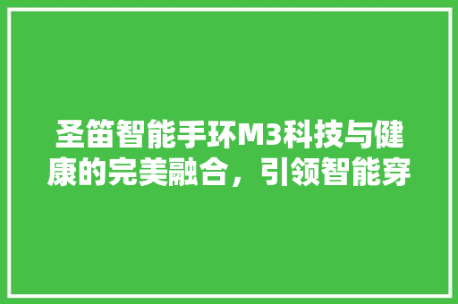圣笛智能手环M3科技与健康的完美融合，引领智能穿戴新潮流