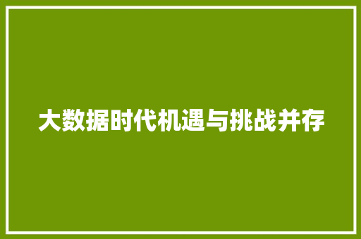 大数据时代机遇与挑战并存  第1张