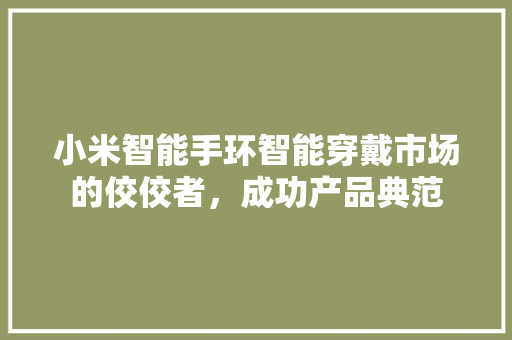 小米智能手环智能穿戴市场的佼佼者，成功产品典范