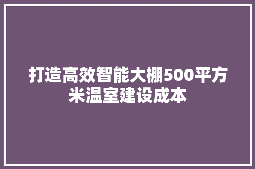 打造高效智能大棚500平方米温室建设成本