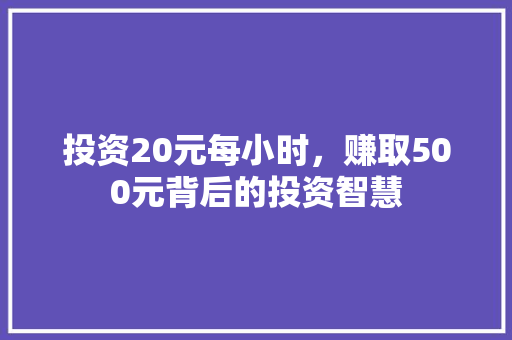 投资20元每小时，赚取500元背后的投资智慧