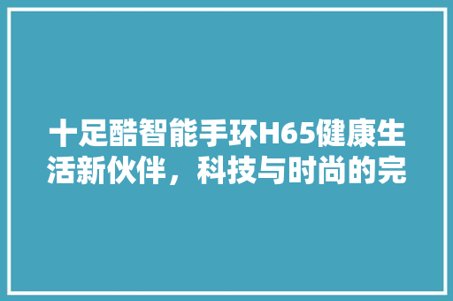 十足酷智能手环H65健康生活新伙伴，科技与时尚的完美融合
