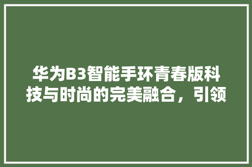 华为B3智能手环青春版科技与时尚的完美融合，引领健康生活新潮流  第1张