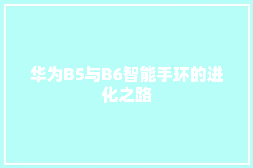 华为B5与B6智能手环的进化之路  第1张