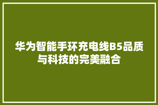 华为智能手环充电线B5品质与科技的完美融合