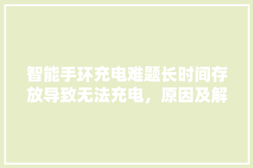 智能手环充电难题长时间存放导致无法充电，原因及解决方法探析
