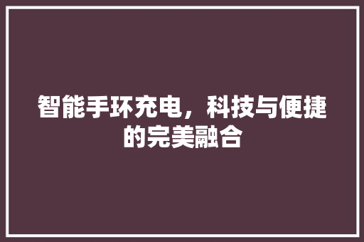 智能手环充电，科技与便捷的完美融合