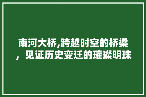 南河大桥,跨越时空的桥梁，见证历史变迁的璀璨明珠