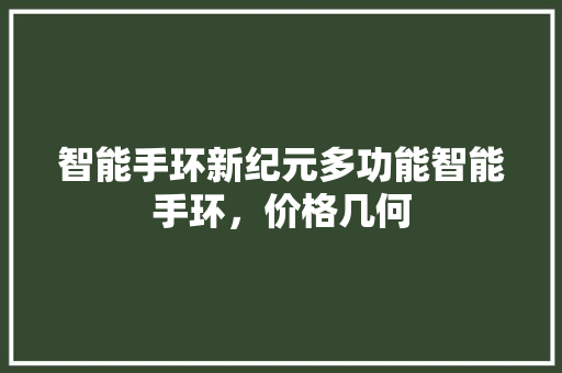 智能手环新纪元多功能智能手环，价格几何