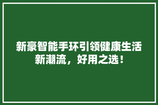 新豪智能手环引领健康生活新潮流，好用之选！