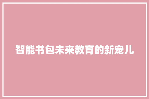 智能书包未来教育的新宠儿