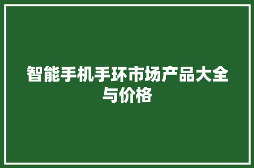 智能手机手环市场产品大全与价格