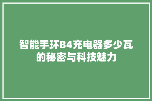 智能手环B4充电器多少瓦的秘密与科技魅力