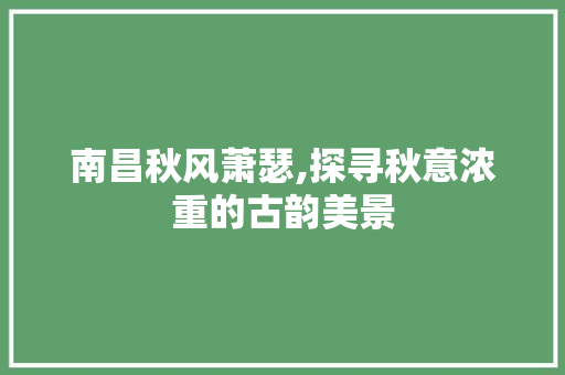 南昌秋风萧瑟,探寻秋意浓重的古韵美景  第1张
