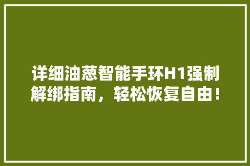 详细油葱智能手环H1强制解绑指南，轻松恢复自由！