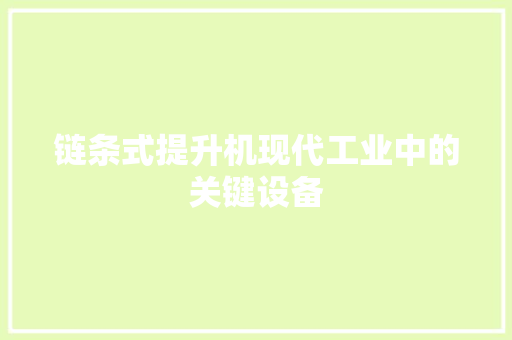 链条式提升机现代工业中的关键设备