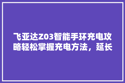 飞亚达Z03智能手环充电攻略轻松掌握充电方法，延长续航时间