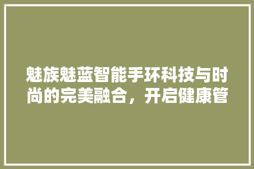 魅族魅蓝智能手环科技与时尚的完美融合，开启健康管理新时代
