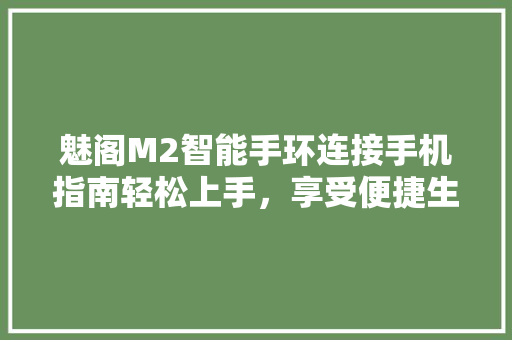 魅阁M2智能手环连接手机指南轻松上手，享受便捷生活