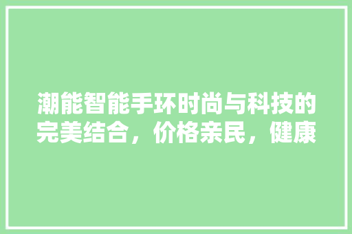 潮能智能手环时尚与科技的完美结合，价格亲民，健康管理新选择