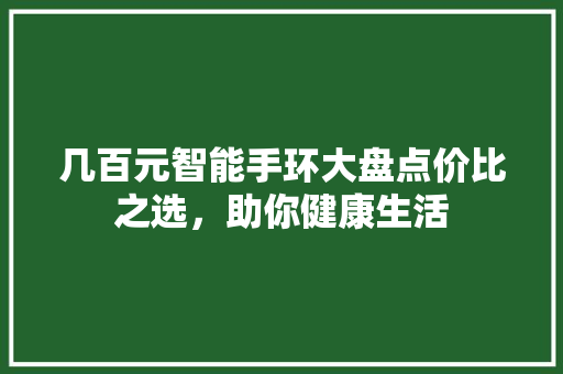几百元智能手环大盘点价比之选，助你健康生活  第1张
