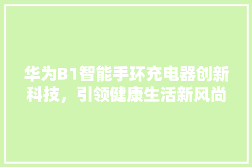 华为B1智能手环充电器创新科技，引领健康生活新风尚  第1张