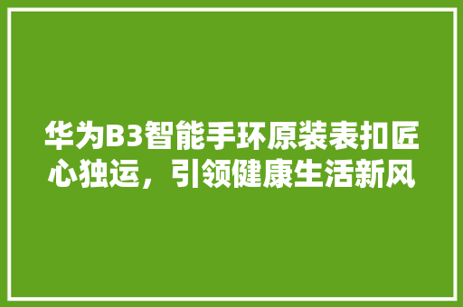 华为B3智能手环原装表扣匠心独运，引领健康生活新风尚