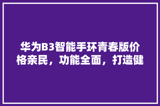 华为B3智能手环青春版价格亲民，功能全面，打造健康管理新选择